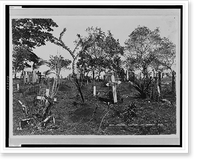 Old French section of Monkey Hill, Historic Print