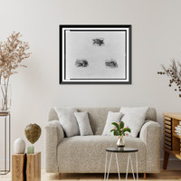 Historic Framed Print, [A turtle, a member of the weasel family, and a mouse].John Sanderson Dalziel, sc.,  17-7/8" x 21-7/8"