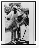 Historic Framed Print, Monroe Brackins, ex-slave, Hondo,  17-7/8" x 21-7/8"