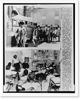 Composite photograph: (left) white students boarding school buses for private school, (right) African American children seated in one-room school with teacher - 2 Classic, Antique Poster