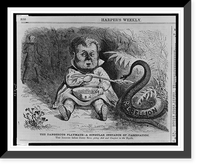 The dangerous playmate. A singular instance of fascination, Vintage Wall Art