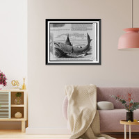 Historic Framed Print, The wonderful fish, caught near Eastport, Maine, Aug. 3, 1868.drawn by Charles A. Barry.,  17-7/8" x 21-7/8"