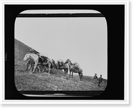 Men with horses during polar expedition, Vintage Wall Art