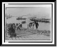 Landing pack ponies at Chemulpo for advance on Seoul, Vintage Poster