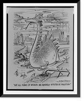 Historic Framed Print, Not all forms of wildlife are adversely affected by pollution"",  17-7/8" x 21-7/8"