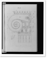 Details of ionic capital, Antique Print