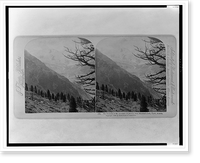 The summits of Mt. Cevedale (12,380 ft.), from Madritsch-Joch, Tyrol, Austria, Antique Wall Art
