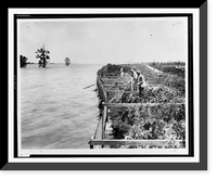 Plank wall holds back flood waters, people on levee erecting supporting braces, partially submerged trees in background.Ewing, Inc., Baton Rouge, La, Historic Print