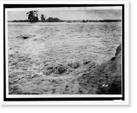 Torrential floodwaters submerging all in its path, trees in background, Vintage Wall Art