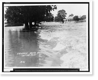 Crevasse south of - Cotton Port -, Antique Poster