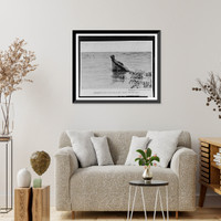 Historic Framed Print, Necessity and fear make all living things akin.photograph by Stanley Clisby Arthur.,  17-7/8" x 21-7/8"