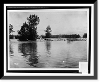 Waterfowl and swine wading in floodwaters that have partially submerged fence and properties in background Classic, Historic Reproduction