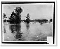 Waterfowl and swine wading in floodwaters that have partially submerged fence and properties in background Classic, Historic Reproduction