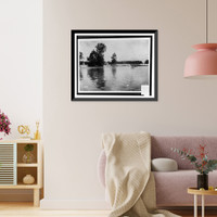 Waterfowl and swine wading in floodwaters that have partially submerged fence and properties in background Classic, Historic Reproduction