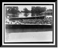 Debris and flock of chickens cover tin roof, rooftop of submerged house in background Classic, Vintage Poster