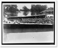 Debris and flock of chickens cover tin roof, rooftop of submerged house in background Classic, Vintage Poster