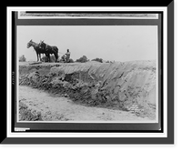 Historic Framed Print, [Man using mules to grade area flood had destroyed].Ewing, Inc., Baton Rouge.,  17-7/8" x 21-7/8"