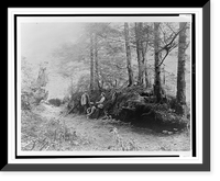 D.G. Elliot, A.K. Fisher, and Robert Ridgway in woods bordering Indian River, Sitka, Alaska, 1899.Curtis. Classic, Vintage Wall Art