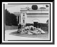 Historic Framed Print, Wool from White House sheep,  17-7/8" x 21-7/8"