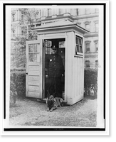 King Tut, the President's Belgian Police dog has taken up his duties at the White House and makes regular rounds to see that the guards are in their places, Vintage Print