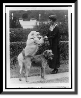 Black & White Photo - Grace Coolidge with two dogs