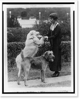 Black & White Photo - Grace Coolidge with two dogs