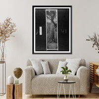 Historic Framed Print, The father of the forest, Cal., Rerwood [sic] Park,  17-7/8" x 21-7/8"