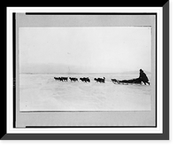 Dogsled crossing bay on Thanksgiving Day Classic, Antique Print