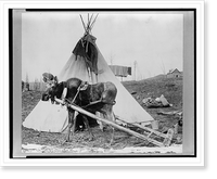 Historic Framed Print, Moose harnessed for work beside tepee [i.e. tipi],  17-7/8" x 21-7/8"
