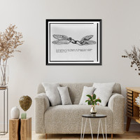 Black & White Photo - Marquis de Bacqueville's glider showing a man