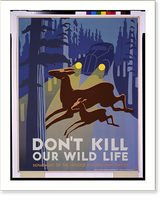 Historic Framed Print, Don't kill our wild life - 2,  17-7/8" x 21-7/8"