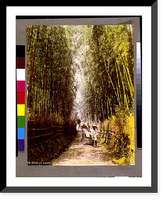 Historic Framed Print, Gojio, at Kyoto,  17-7/8" x 21-7/8"
