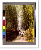 Historic Framed Print, Gojio, at Kyoto,  17-7/8" x 21-7/8"