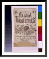 Historic Framed Print, Stephen's varieties No. 3: The slave in 1863,  17-7/8" x 21-7/8"