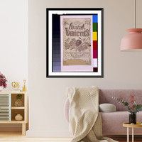 Historic Framed Print, Stephen's varieties No. 3: The slave in 1863,  17-7/8" x 21-7/8"