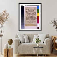 Historic Framed Print, Stephen's varieties No. 3: The slave in 1863,  17-7/8" x 21-7/8"