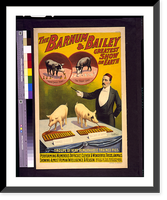 Historic Framed Print, The Barnum & Bailey greatest show on earth. Troupe of very remarkable trained pigs - 2,  17-7/8" x 21-7/8"