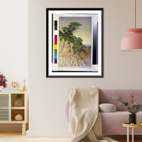 Historic Framed Print, Point Lobos.Bertha Lum. - 3,  17-7/8" x 21-7/8" Historic Framed Print, Point Lobos.Bertha Lum. - 3,  17-7/8" x 21-7/8"