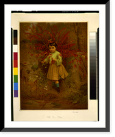 Historic Framed Print, Little Bo Peep.J.G. Brown ; J. Howard Collier lith.,  17-7/8" x 21-7/8"