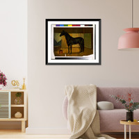 Vintage Americana Print - Black Cloud, a horse in stable.Scott Leighton