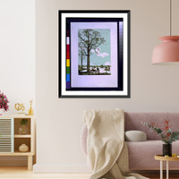 Kapok tree in blossom.Yang Na-wei, Vintage Print