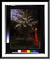 Woman standing by flowering tree.Percy Ives, Historic Reproduction