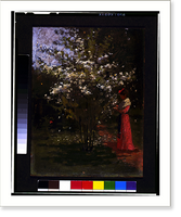 Woman standing by flowering tree.Percy Ives, Historic Reproduction