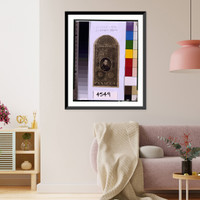 Historic Framed Print, Swaim's Panacea - 2,  17-7/8" x 21-7/8"