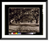 St. James Parish. Oak Alley, Vacherie, Historic Print