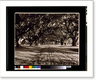 St. James Parish. Oak Alley, Vacherie, Historic Print