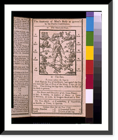 The anatomy of man's body, as governed by the twelve constellations - 2, Vintage Wall Art