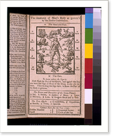 The anatomy of man's body, as governed by the twelve constellations - 2, Vintage Wall Art