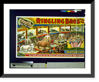 Ringling Bros'. aviary and aquarium. largest zoological exhibit on earth - 2, Vintage Poster