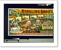 Ringling Bros'. aviary and aquarium. largest zoological exhibit on earth - 2, Vintage Poster
